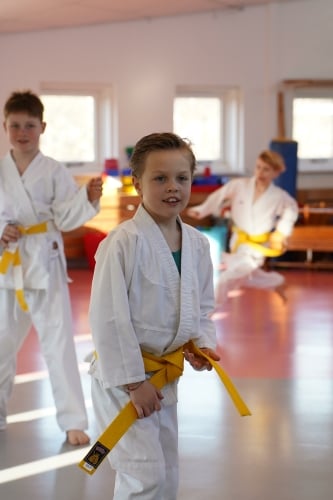 SportKarate les